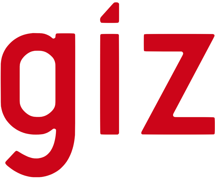 GIZ logo