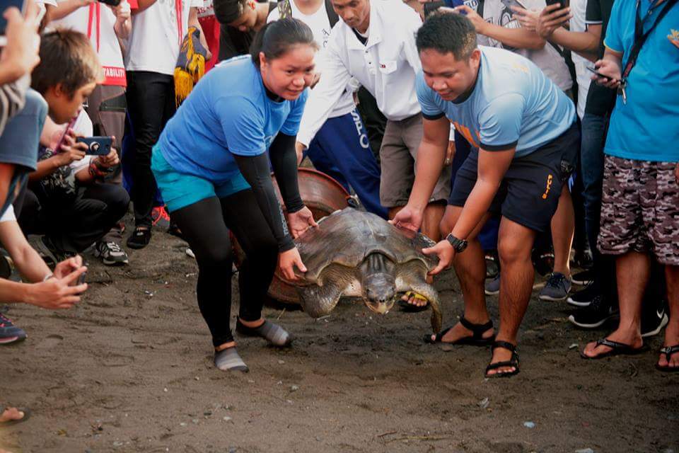 EU-GEPP - WOD 2025 - 1. A typical day for the Ormoc Marine Mammal and Reptile Rehabilitation Center. Photo courtesy of City Government of Ormoc - .jpeg